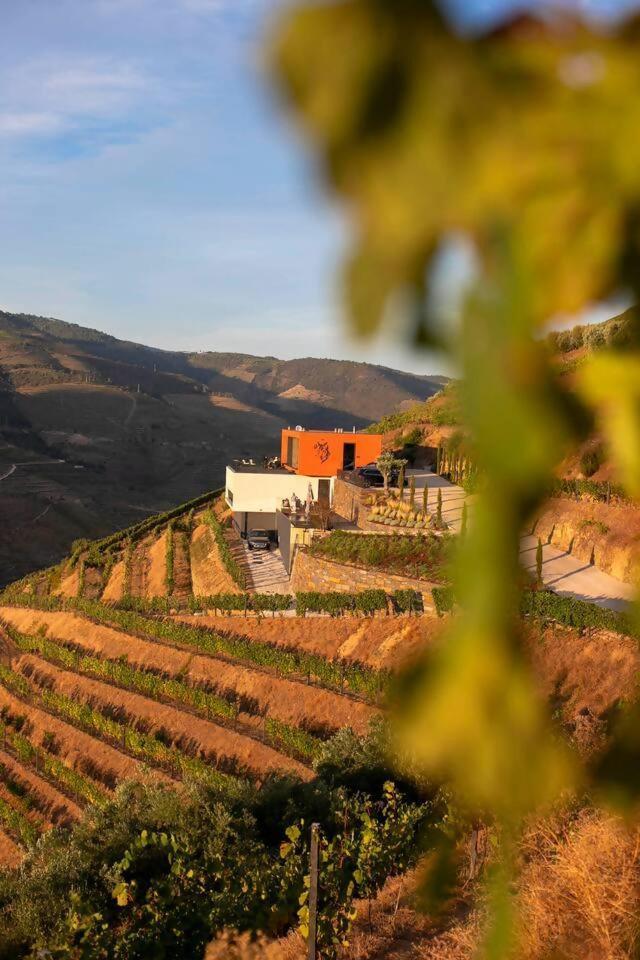 לינה וארוחת בוקר Folgosa  Quinta Vale De Lobos מראה חיצוני תמונה